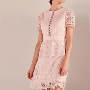 Ted baker Elegant Pink Lace Dress